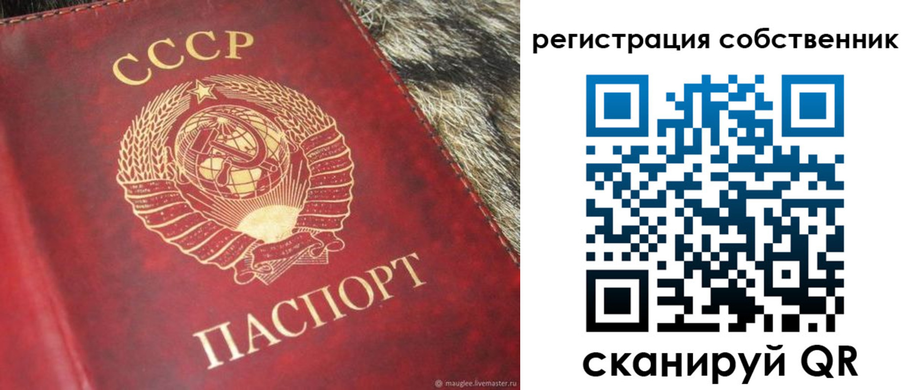 временная регистрация надежно в Бородино